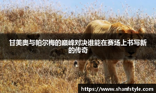 鑫彩网